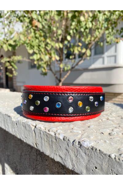akshowcase Renkli Taşlı Köpek Tasması. Deri Köpek Tasması. Kristal Taş Detaylı