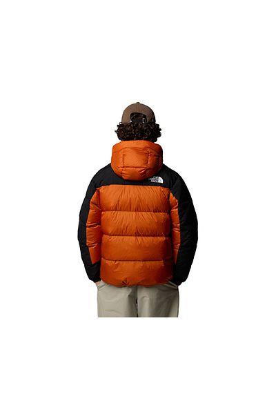 THE NORTH FACE Men's Outdoor Coat - Hmlyn down Parka, 550 Wedges, Orange Nf0A4Qyx5Po1