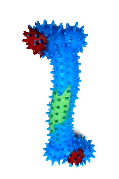 Tasma Market Blue Oblique Bone Model Tartar Cleaner Teether Dog Toy