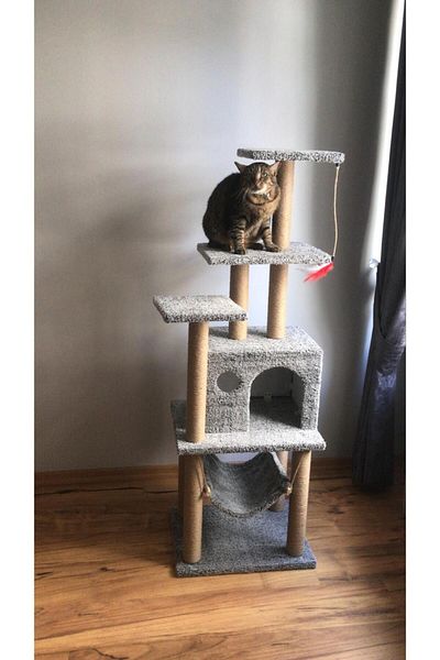 pethomealpi Luxury Cat Scratching House and Play Platform - with Hammock and Nest
