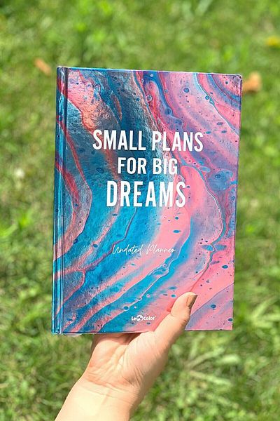 Le Color Dreams 17X24 - Metallic Timeless Planner