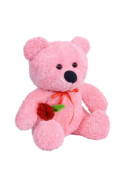 Pandamkee 55 Cm Teddy Bear Holding a Rose in Her Hand
