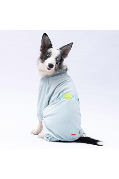 Pawstar Mint Angers Big Breed Dog Jumpsuit-Dog Outfit