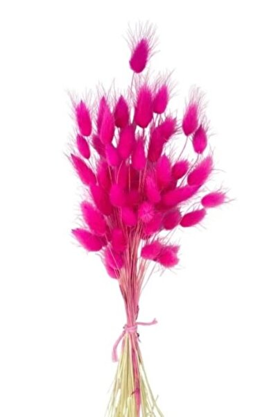 HEPBİRLİNKTE Pembe Renkli 30 Dal Kurutulmuş Pamuk Otu - Tavşan Kuyruğu, Gelin...