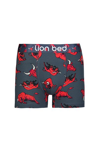 Miss Blue Moon Ανδρικά Boxers - Premium Cotton, Printed, Single Package 4000-3