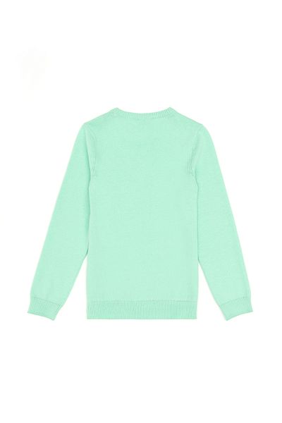 U.S. Polo Assn. Boy's Mint Basic Crew Neck Sweater 50294188 -Vr090