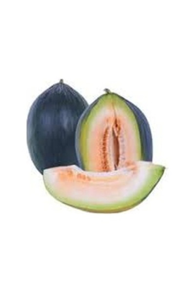 Köy Tohumları 10 Adet Organik Kışlık Kara Bal Kavun Tohumu Hasanbey Kara Kavu...