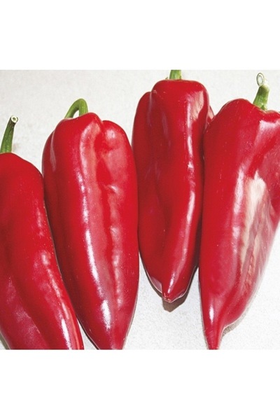 Köy Tohumları 150 Adet Tohum Nadir  Ata Köy Tohumu Kapya Biberi Beber Tohum H...