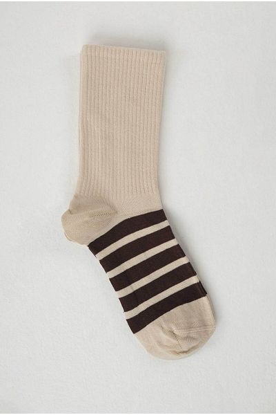 HEQA Beige and Bitter Brown Colored Five Stripes Socks