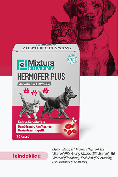 Mixtura Pharma Hemofer Forte Kedi Ve Köpek Kan Ve Demir Vitamini Kansızlığı Ö...