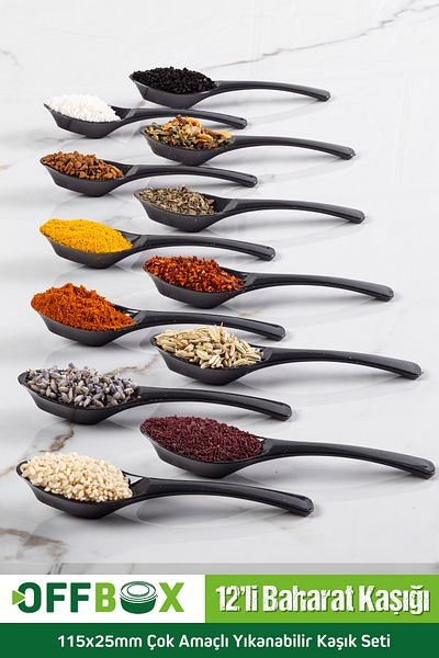 OFFBOX 12 Pieces Spice Spoon Breakfast Spice Spoon Spoon Set BK-12
