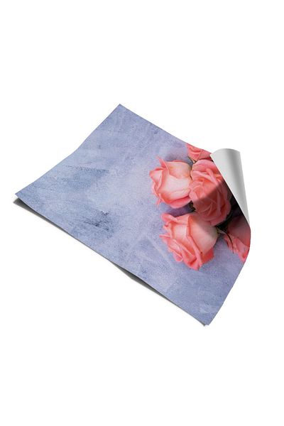 Bigaimaj Capac pentru frigider și mașină de spălat vase Rose - Acoperire cu folie autocolantă