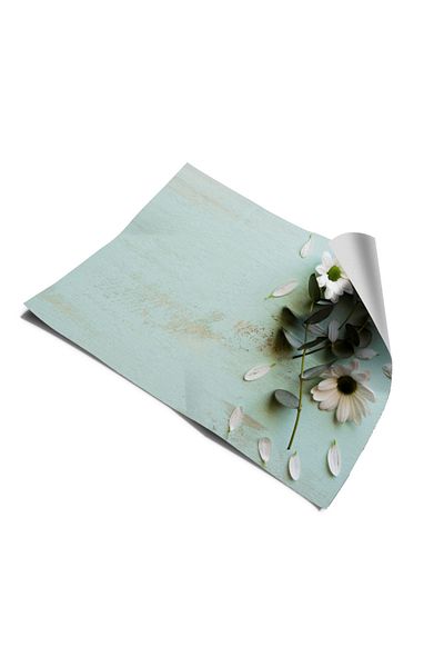 Bigaimaj Frigider verde mentă - acoperit cu folie autocolantă pentru mașină de spălat vase cu capac adeziv