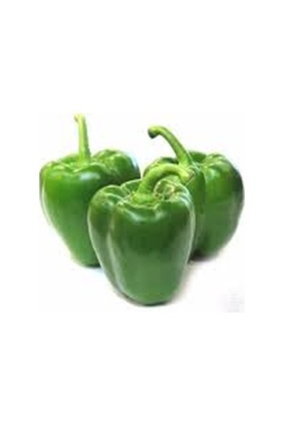 Köy Tohumları 100 Adet Tohum  Ata Tohum Acı Yeşil Dolmalık Antep Biberi Biber...