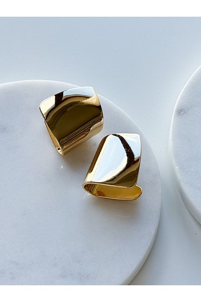 CHARMLUCKY Special Series Plate Earrings