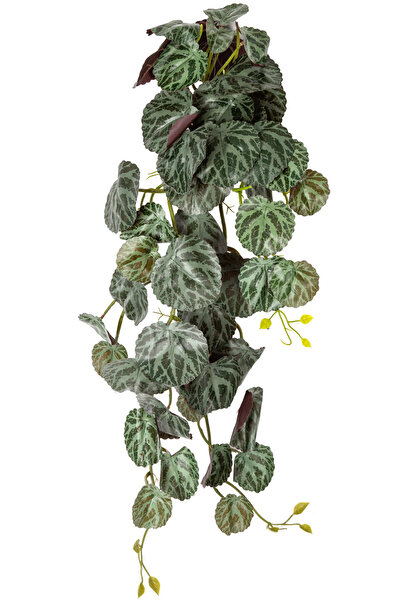Herdekora Yapay Bitki Salon Sarmaşığı Monstera Dubia Yeşil 65 Cm.