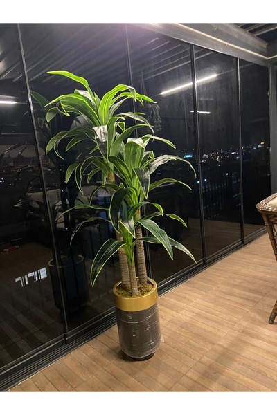 İremÇiçekçilik 200 Cm Yucca Yapay Ağaç Yapay Çiçek Uygula Salon Çiçeği Yapay Çiçek