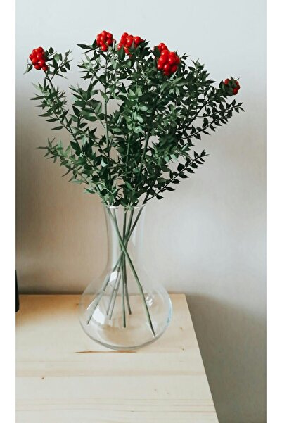 Su Plant Canlı Yılbaşı Çiçeği Şans Bitkisi Kokina (1 Demet)