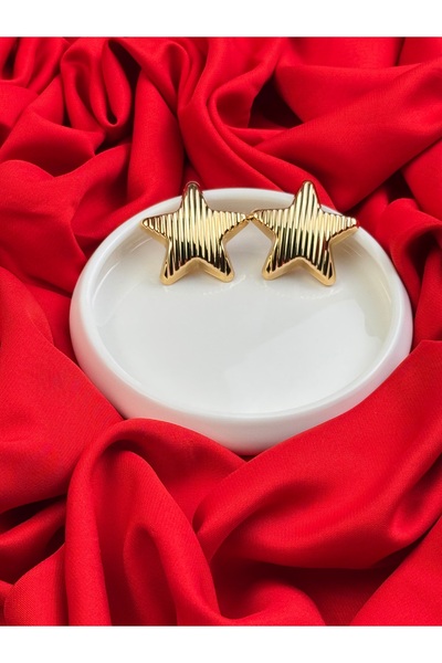 TRENDTAKI yıldız küpe çizgi desenli çelik 0049