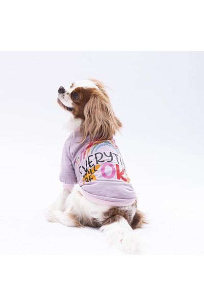 Pawstar Lila Everything Cat Dog Sweatshirt - Cat Dog Outfit