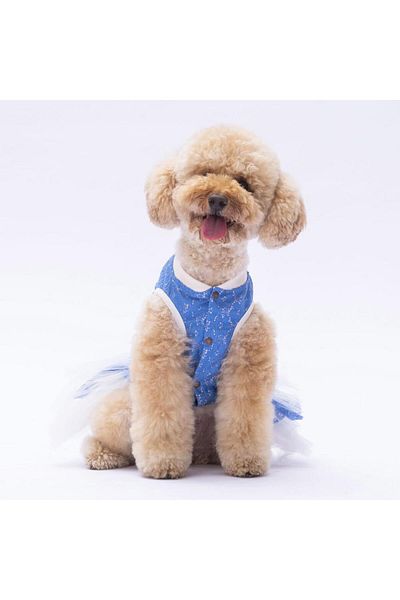 Pawstar Primavera Blue Cat Dog Dress - Cat Dog Outfit