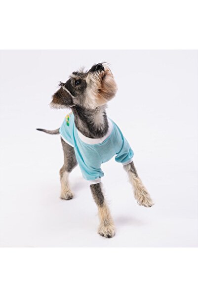 Pawstar Mavi Good Day Kedi Köpek Sweati - Kedi Köpek Kıyafeti