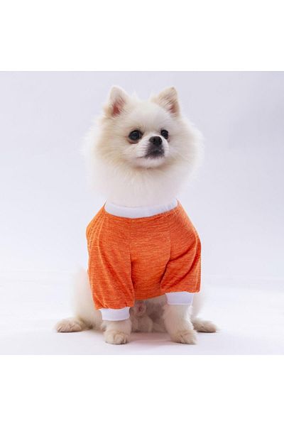 Pawstar Orange Dude Cat Dog Sweatshirt - Cat Dog Outfit