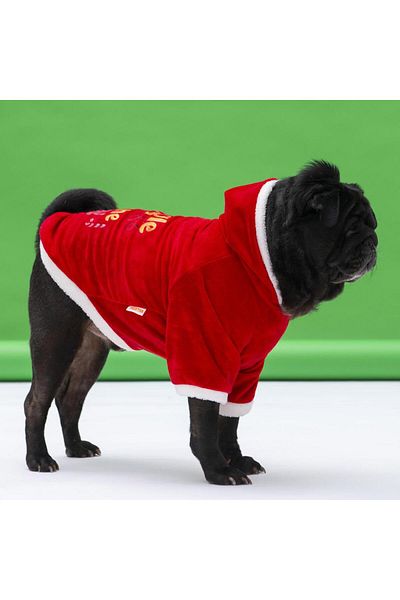 Pawstar New Year Slogan Small and Medium Breed Dog Hooded Sweati Dog Outfit