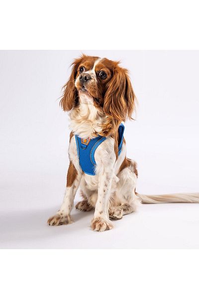 Pawstar طوق صدر للكلاب والقطط باللون الأزرق