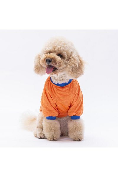 Pawstar Orange Everything Cat Dog Sweatshirt - Cat Dog Outfit