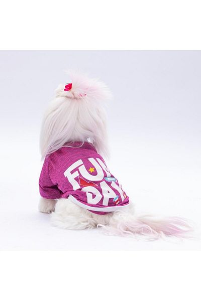 Pawstar Fuchsia Fun Day Cat Dog Sweatshirt - Cat Dog Outfit