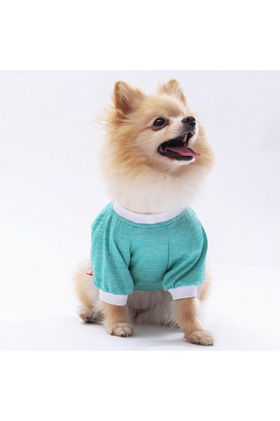 Pawstar Mint Dude Cat Dog Sweatshirt - Cat Dog Outfit