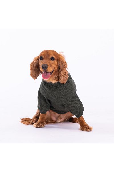 Pawstar Khaki Knitwear Small Breed Dog Sweati Dog Knitwear Dog Apparel Cat Apparel