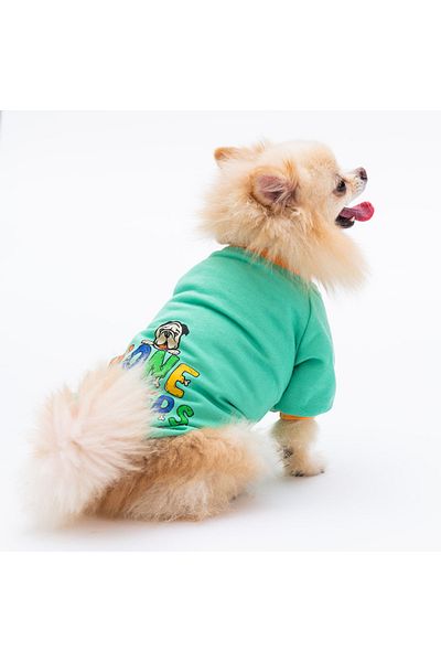 Pawstar Mint Bone Hunter Dog Sweati Dog Outfit Cat Outfit