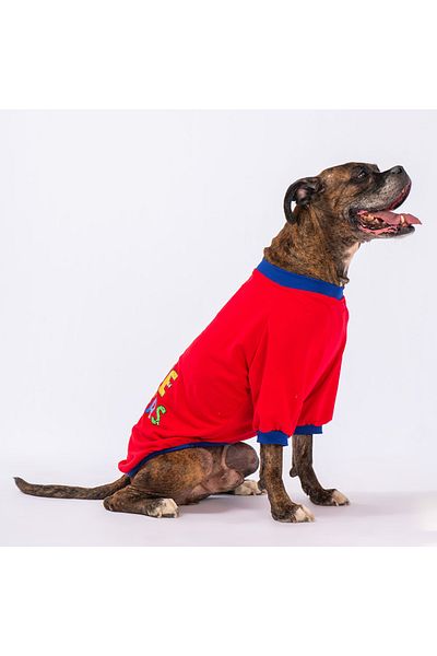 Pawstar Red Bone Hunter Medium and Large Breed Dog Sweati Dog Outfit Dog Dress