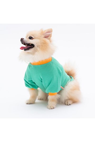 Pawstar Mint Bone Hunter Dog Sweati Dog Outfit Cat Outfit