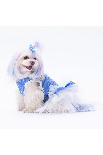 Pawstar Primavera Blue Cat Dog Dress - Cat Dog Outfit