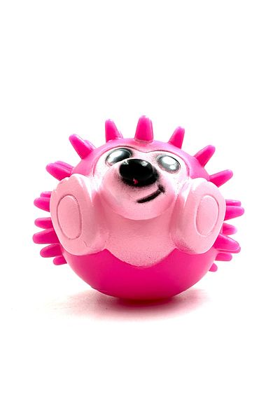 Tasma Market Set of 2 Sounded Hedgehog Teether and Anti Tartar Dog Play Balls
