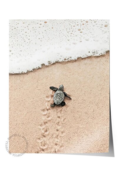 Postifull Small Beach Turtle Poster, Frameless Wall Poster, Vertical Wall Painting Comfort Series No: 108420