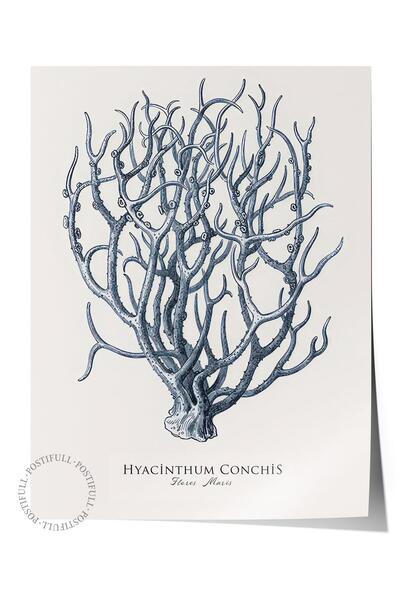 Postifull Blue Coral Poster, Frameless Wall Poster, Vertical Wall Painting Comfort Series No: 108438