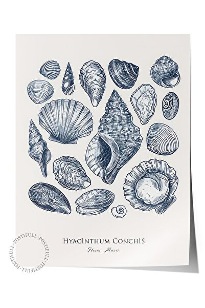 Postifull Blue Shells Poster Çerçevesiz Duvar  Dikey Duvar Tablosu Comfort Se...