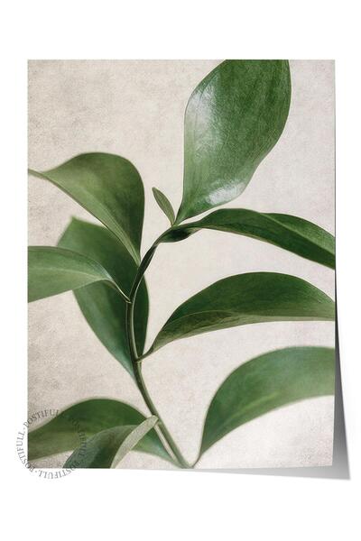 Postifull Green Botanical Poster, Çerçevesiz Duvar Posteri, Dikey Duvar Tablo...