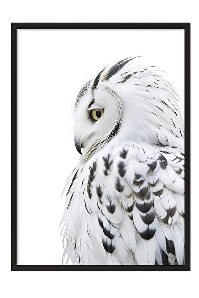 Postifull Tablou înrămat cu bufniță, cadru negru și poster, pictură verticală...