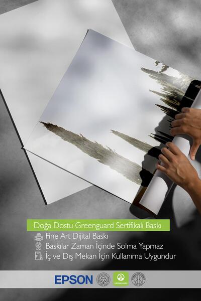 Postifull Cypress Tree Alley Poster, Unframed Wall Poster, Vertical Wall Painting Comfort Series No: 108323