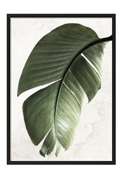Postifull Green Strelitzia Leaf Çerçeveli Tablo, Dikey Duvar Tablosu Comfort ...