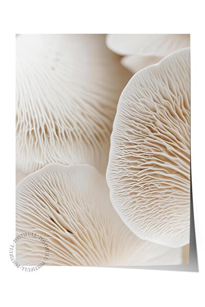 Postifull Mushroom Dream Poster, Frameless Wall Poster, Vertical Wall Painting Comfort Series No: 108343