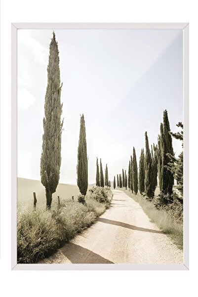 Postifull Cypress Tree Alley Çerçeveli Tablo, Beyaz Çerçeve ve Poster, Duvar ...