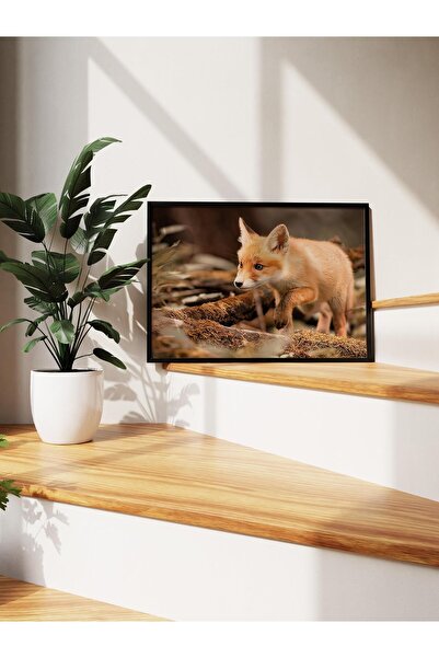 Postifull Pictură înrămată cu vulpea de pădure, cadru negru și poster, pictur...