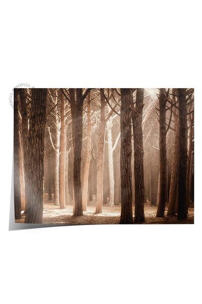 Postifull Magical Forest Sunlight Poster, Horizontal Wall Painting Comfort Series No: 108355