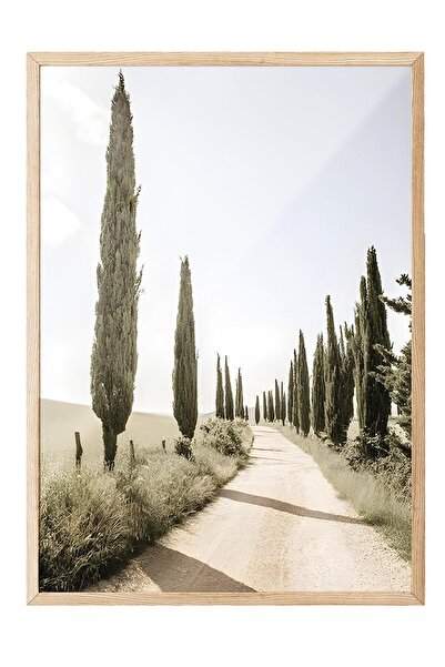 Postifull Pictură înrămată Cypress Tree Alley, cadru din lemn și poster, pictură de perete Seria Comfort NR:108323